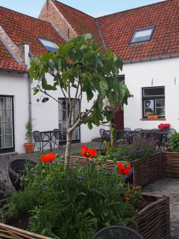 Hotel Het Oud Gemeentehuis Damme Exterior photo